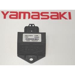 YM50-10 Dellorto ECU