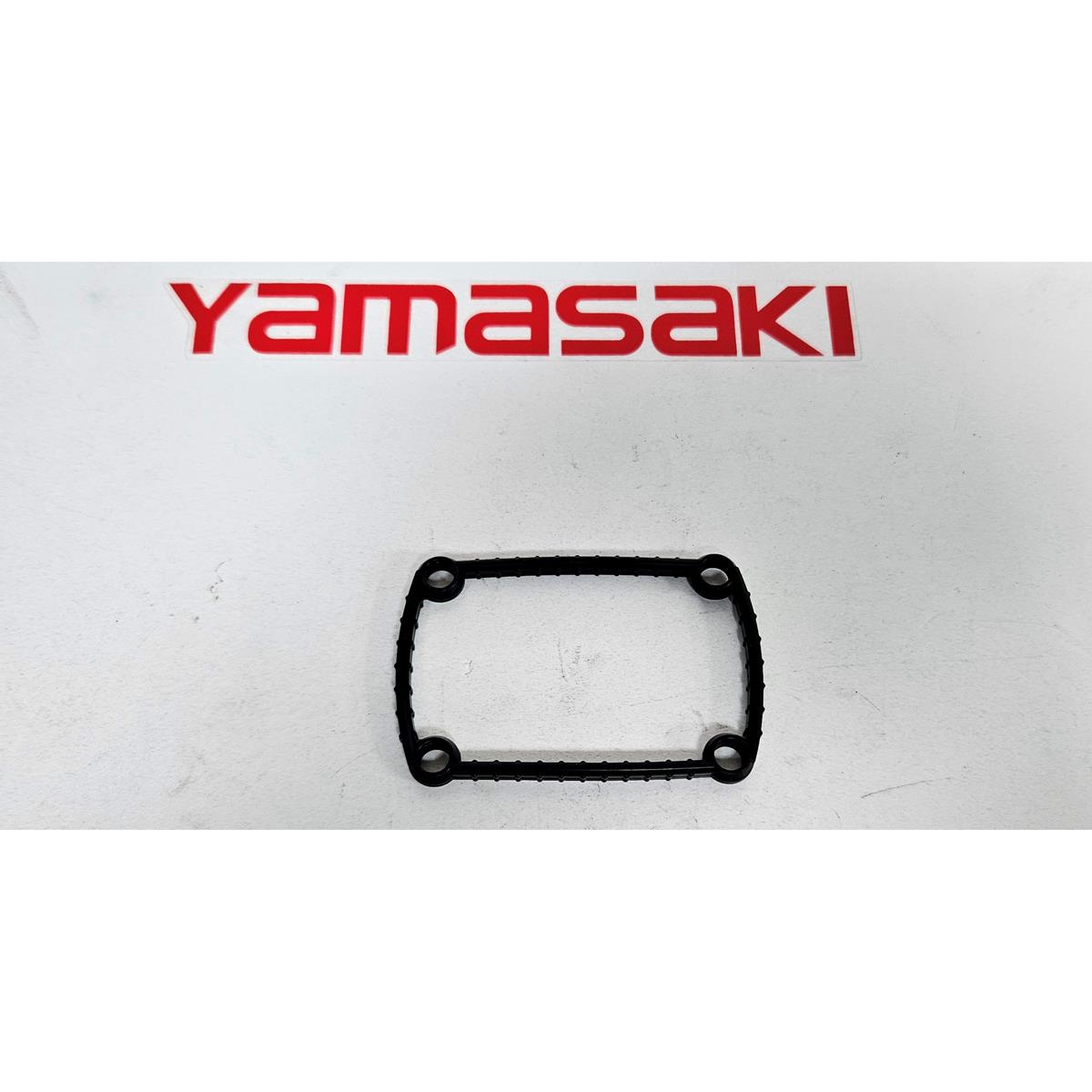 CK50 Fuel Pump Seal