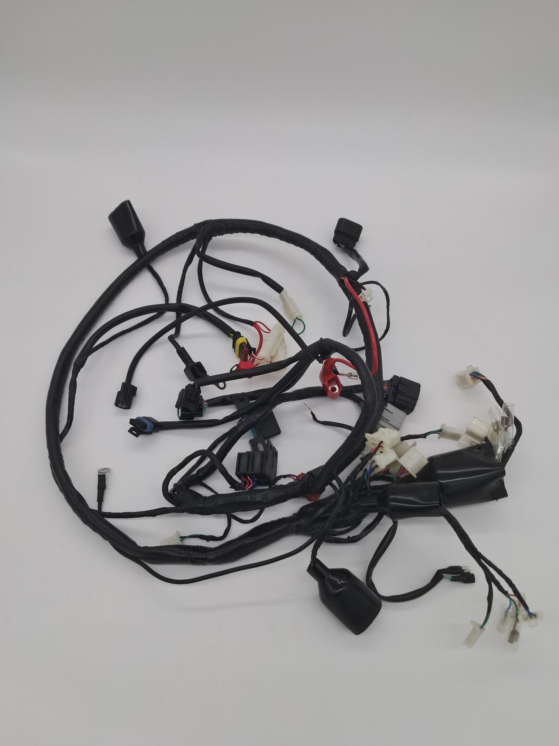 BWS Wiring Harness