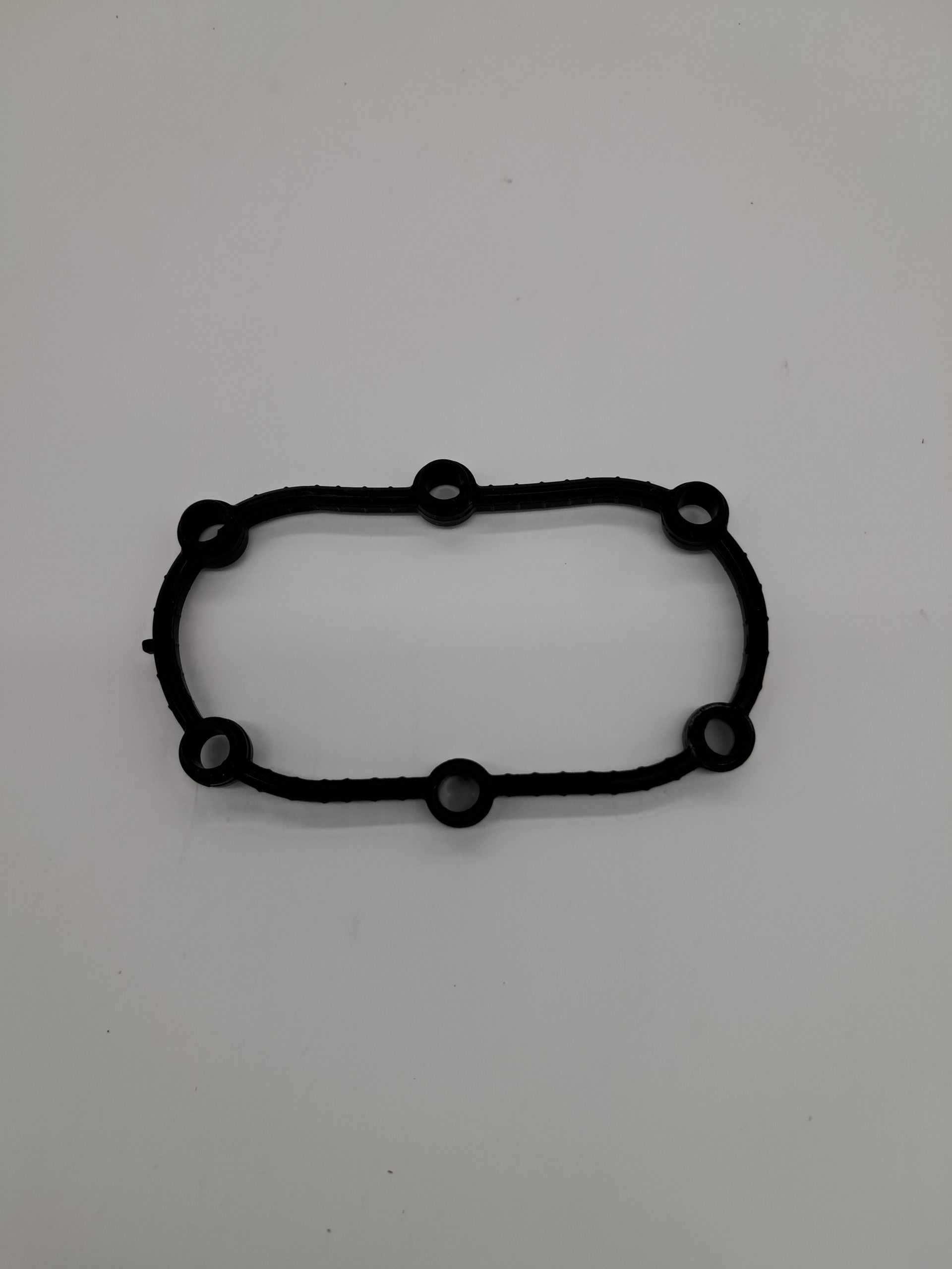 Pump Seal