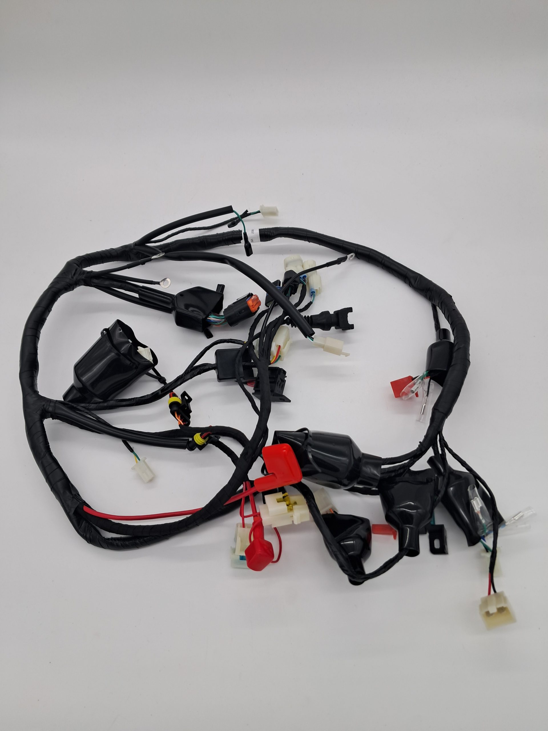 Wiring Loom