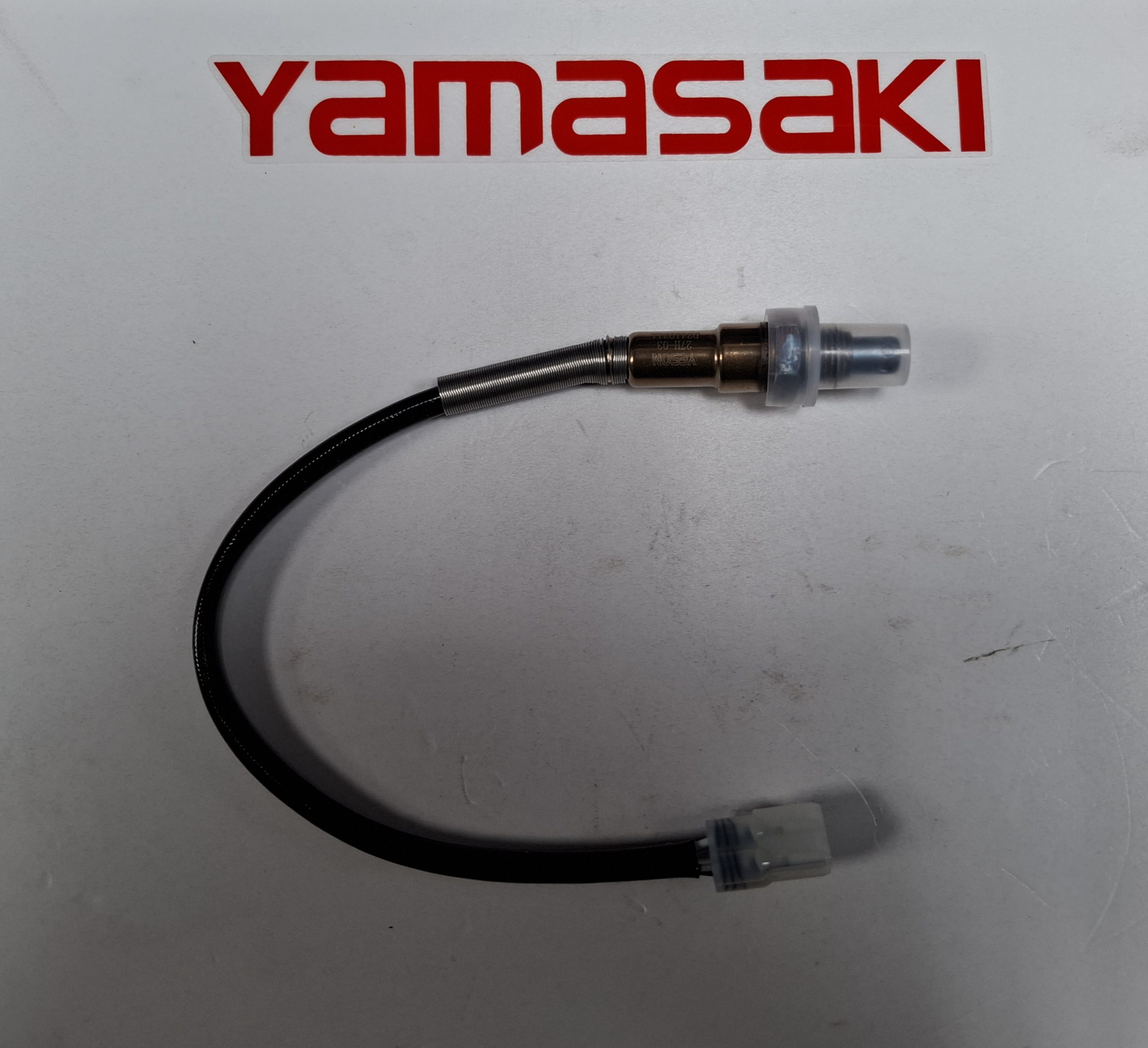 O2 sensor