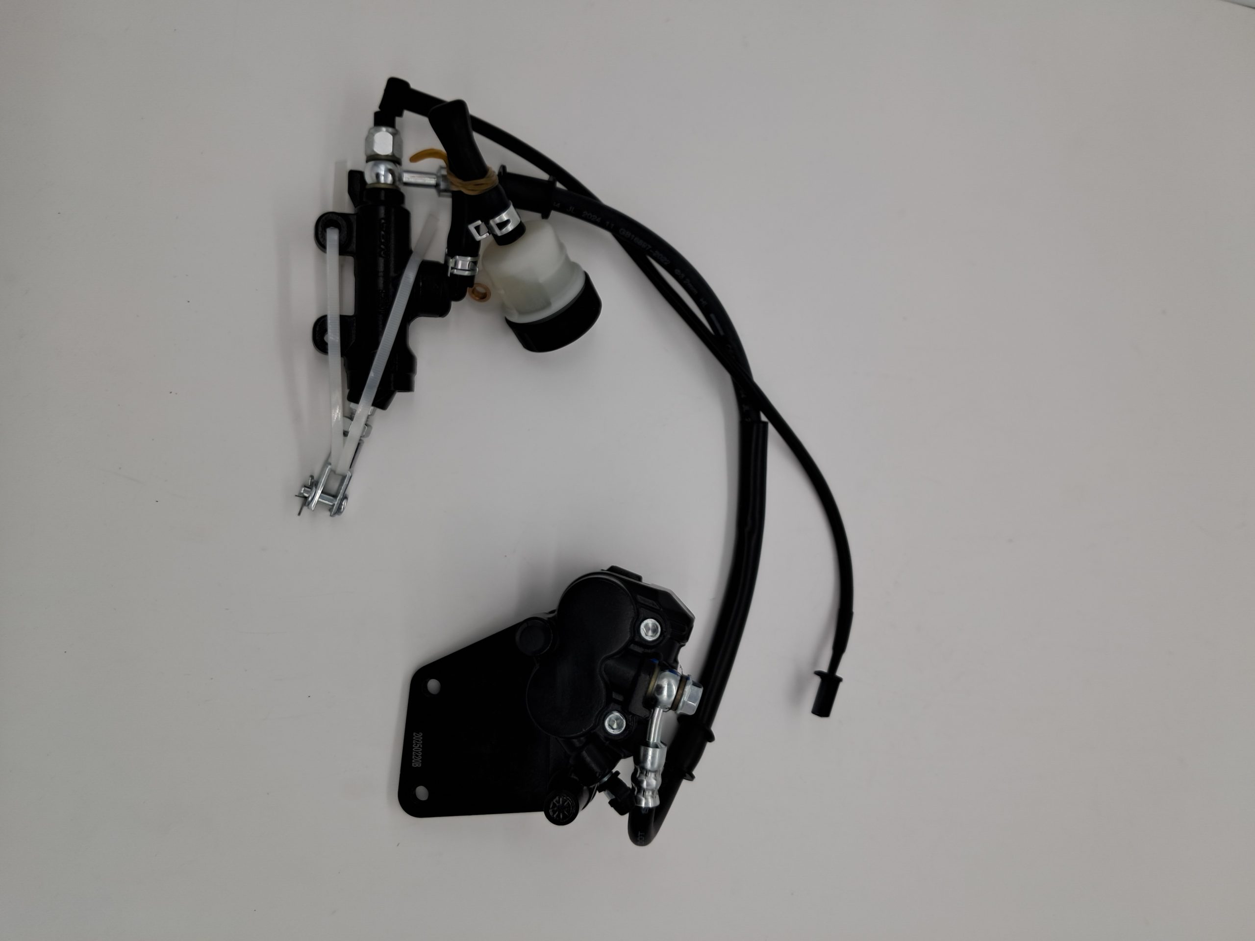 Rear brake assembly