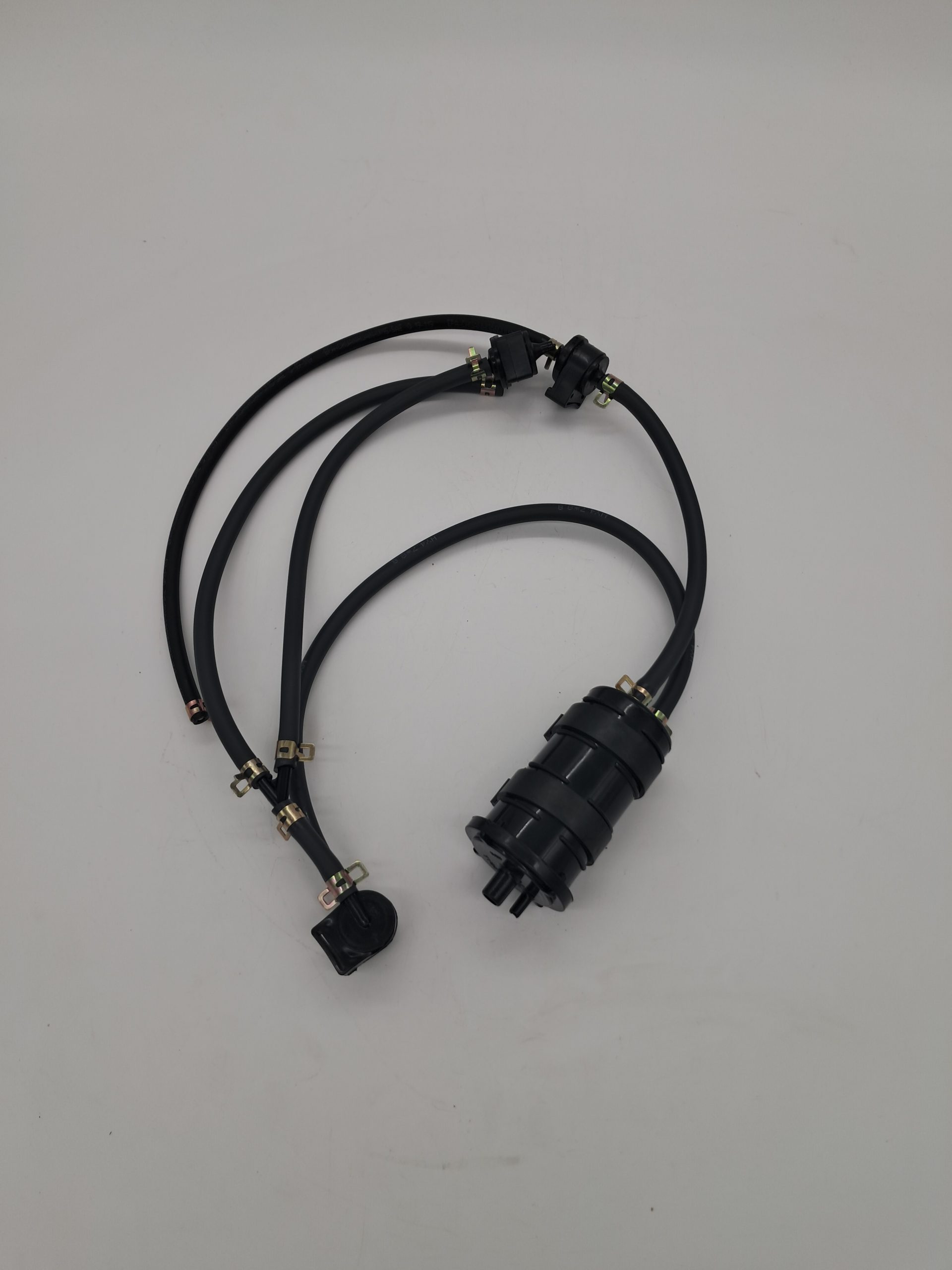 Carbon canister  assembly