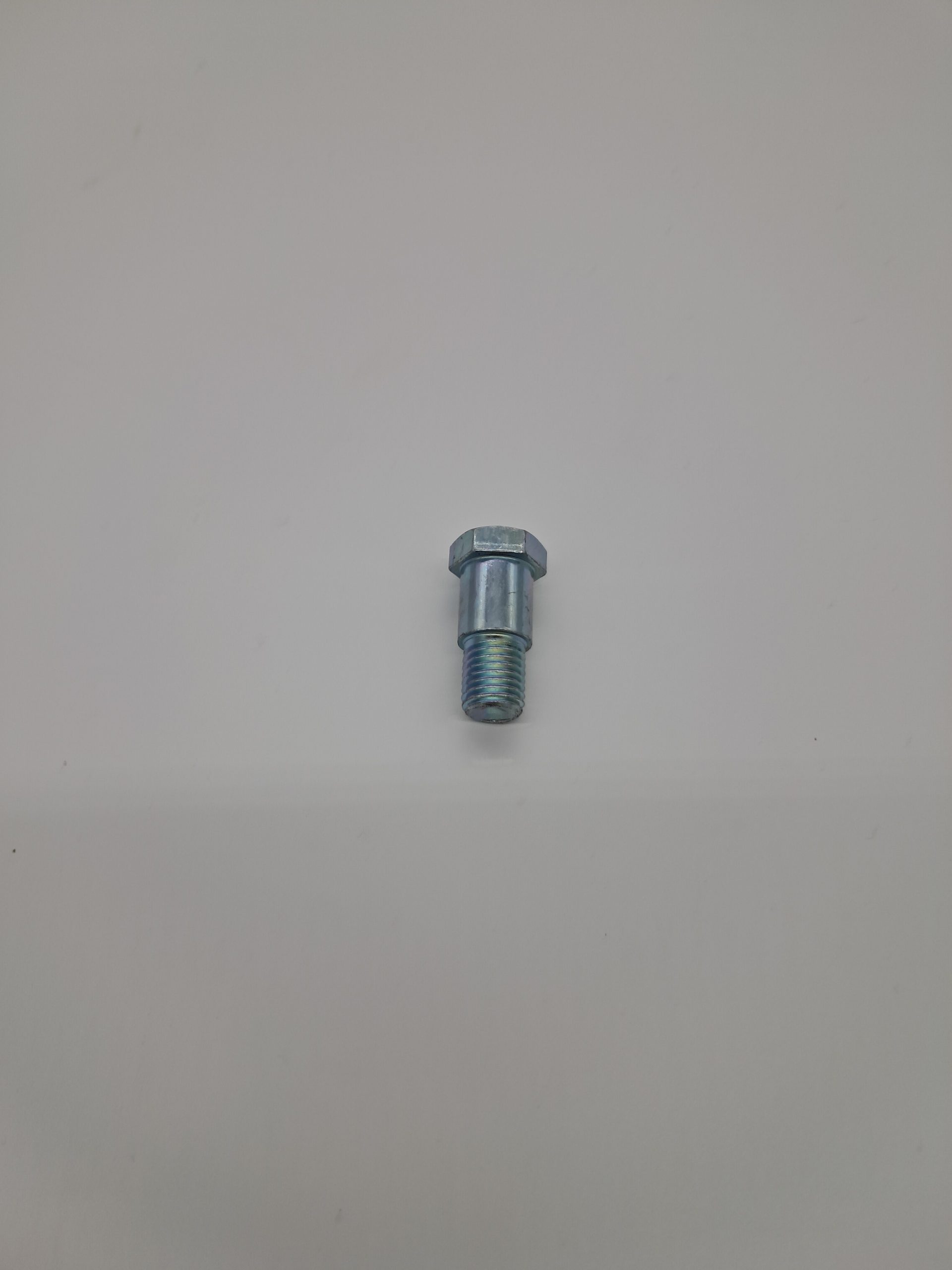 Side Stand Bolt