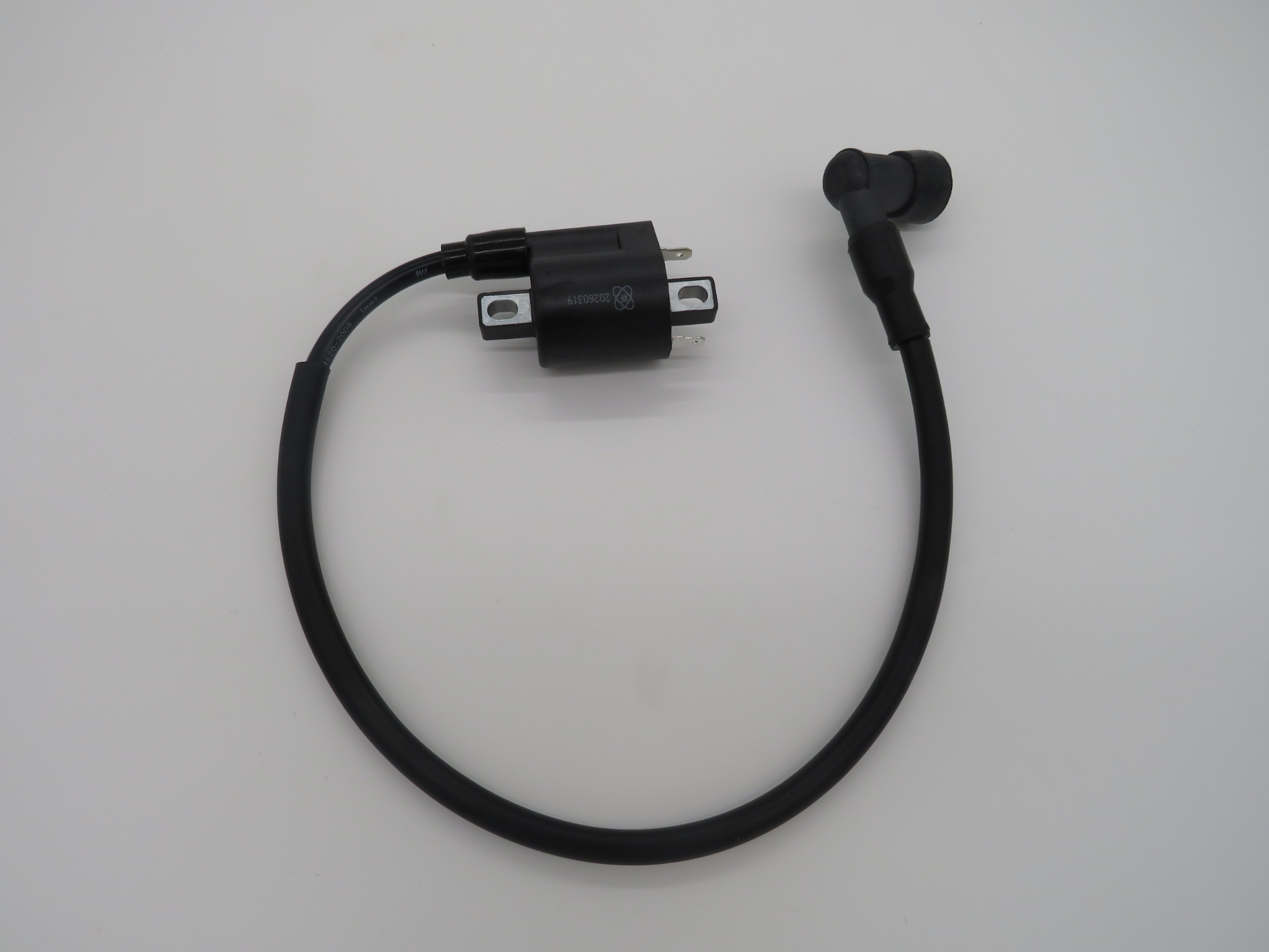 F30R Ignition Coil